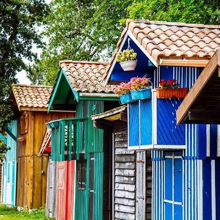 Au Coeur Du Bassin D'Arcachon,Tres Bel Appartement Avec Terrasse Audenge Eksteriør bilde