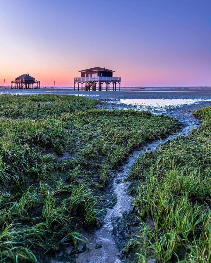 Au Coeur Du Bassin D'Arcachon,Tres Bel Appartement Avec Terrasse Audenge Eksteriør bilde