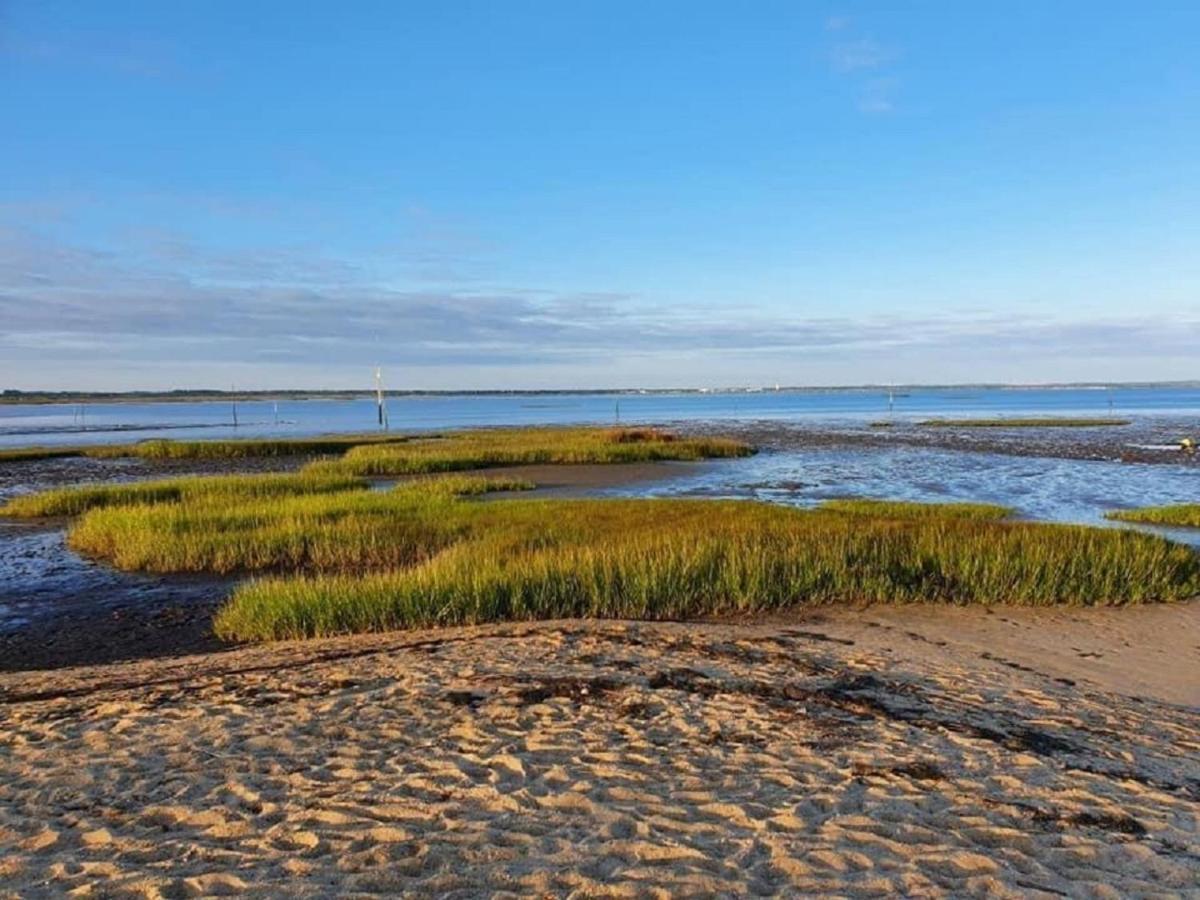 Au Coeur Du Bassin D'Arcachon,Tres Bel Appartement Avec Terrasse Audenge Eksteriør bilde