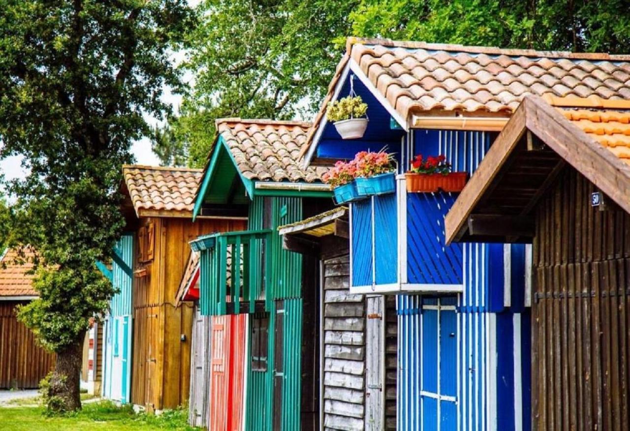 Au Coeur Du Bassin D'Arcachon,Tres Bel Appartement Avec Terrasse Audenge Eksteriør bilde