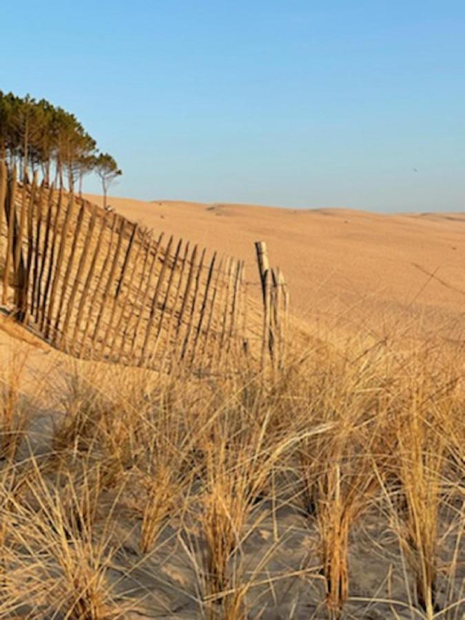 Au Coeur Du Bassin D'Arcachon,Tres Bel Appartement Avec Terrasse Audenge Eksteriør bilde
