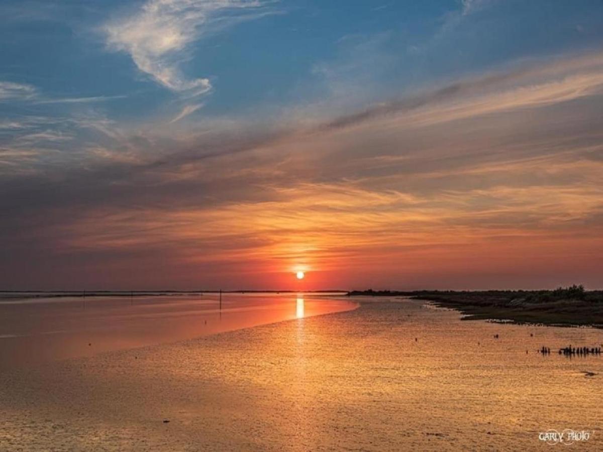 Au Coeur Du Bassin D'Arcachon,Tres Bel Appartement Avec Terrasse Audenge Eksteriør bilde