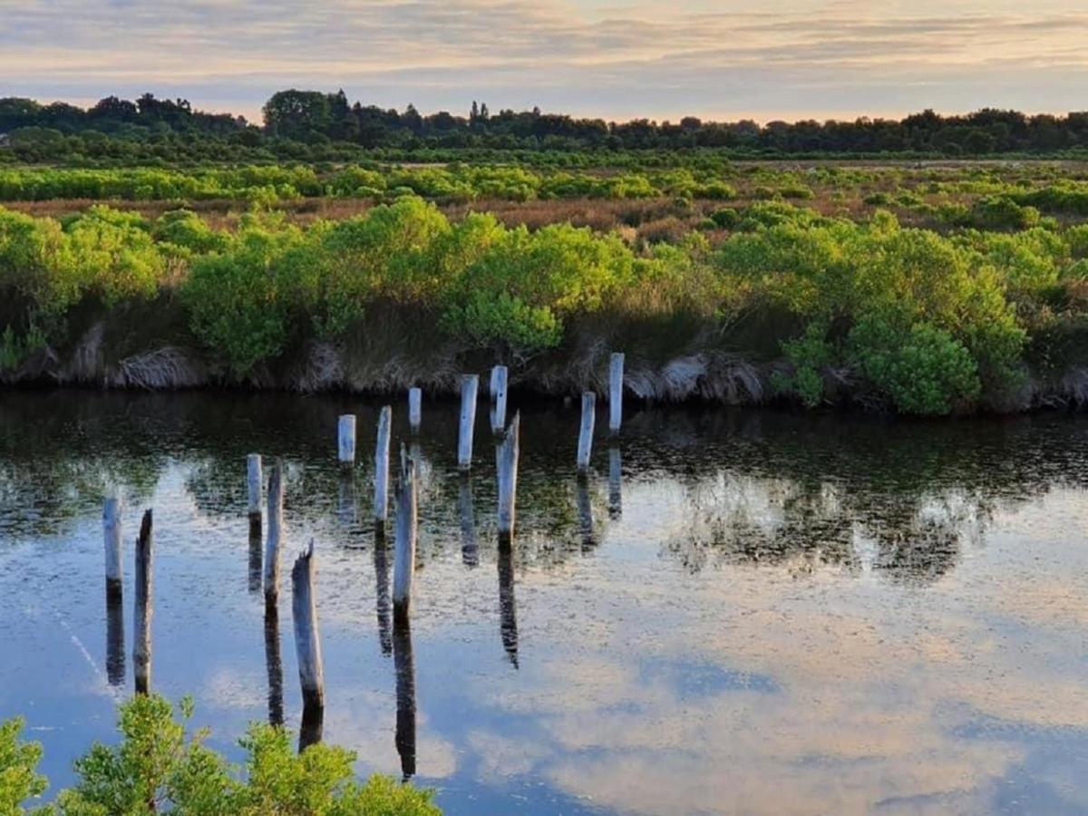 Au Coeur Du Bassin D'Arcachon,Tres Bel Appartement Avec Terrasse Audenge Eksteriør bilde