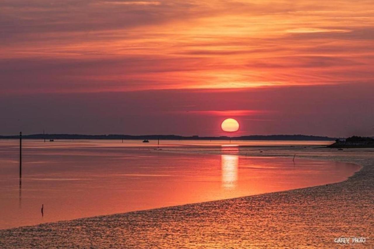 Au Coeur Du Bassin D'Arcachon,Tres Bel Appartement Avec Terrasse Audenge Eksteriør bilde